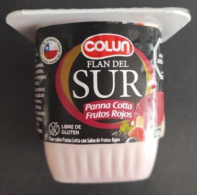 FLAN DEL SUR FRUTOS ROJOS COLUN 100 GR